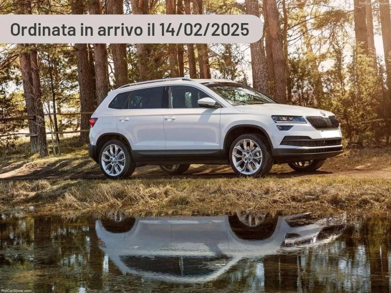 Photo 1 : Skoda Karoq 2024 Petrol