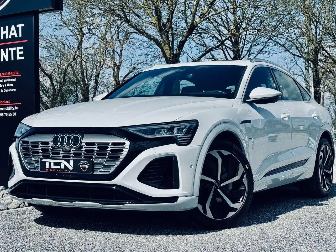 Photo 1 : Audi Q8 2023 Electric