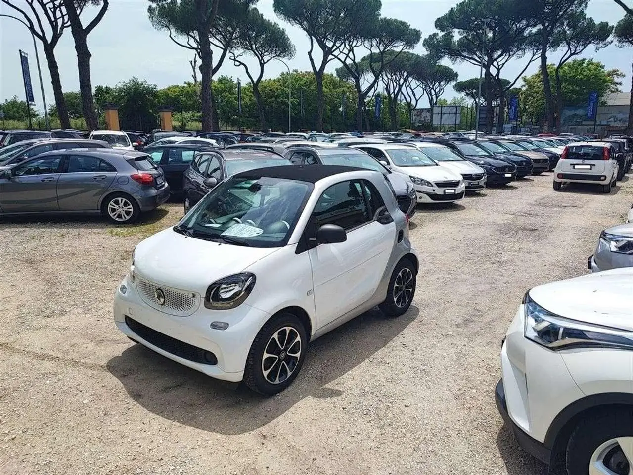 Photo 1 : Smart Fortwo 2019 Essence