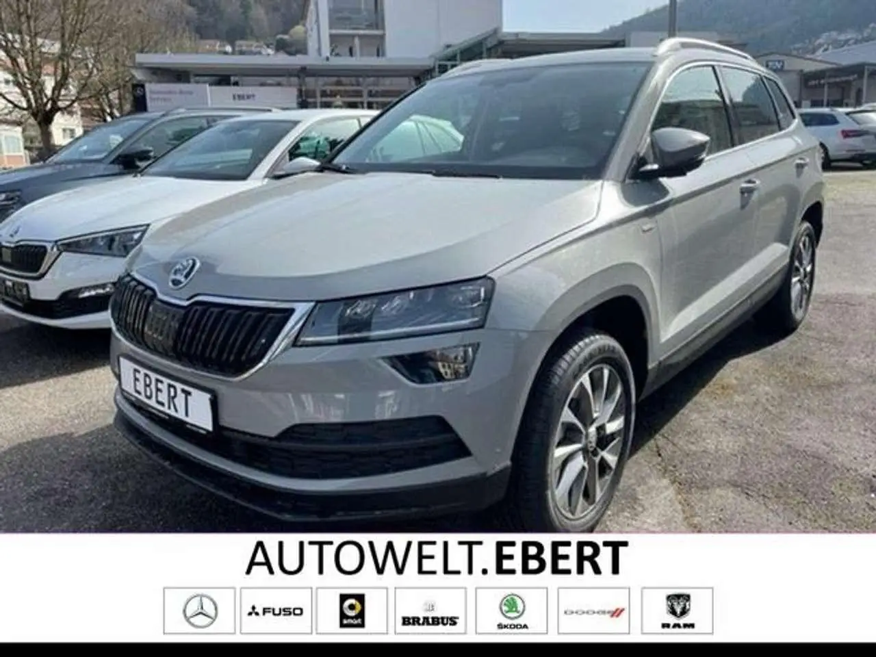 Photo 1 : Skoda Karoq 2022 Petrol