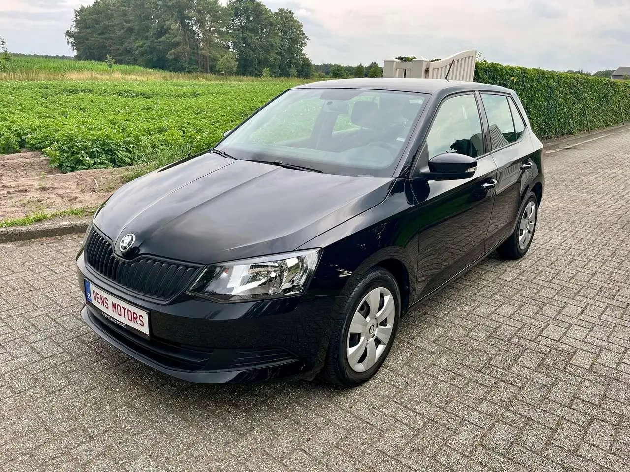 Photo 1 : Skoda Fabia 2018 Petrol