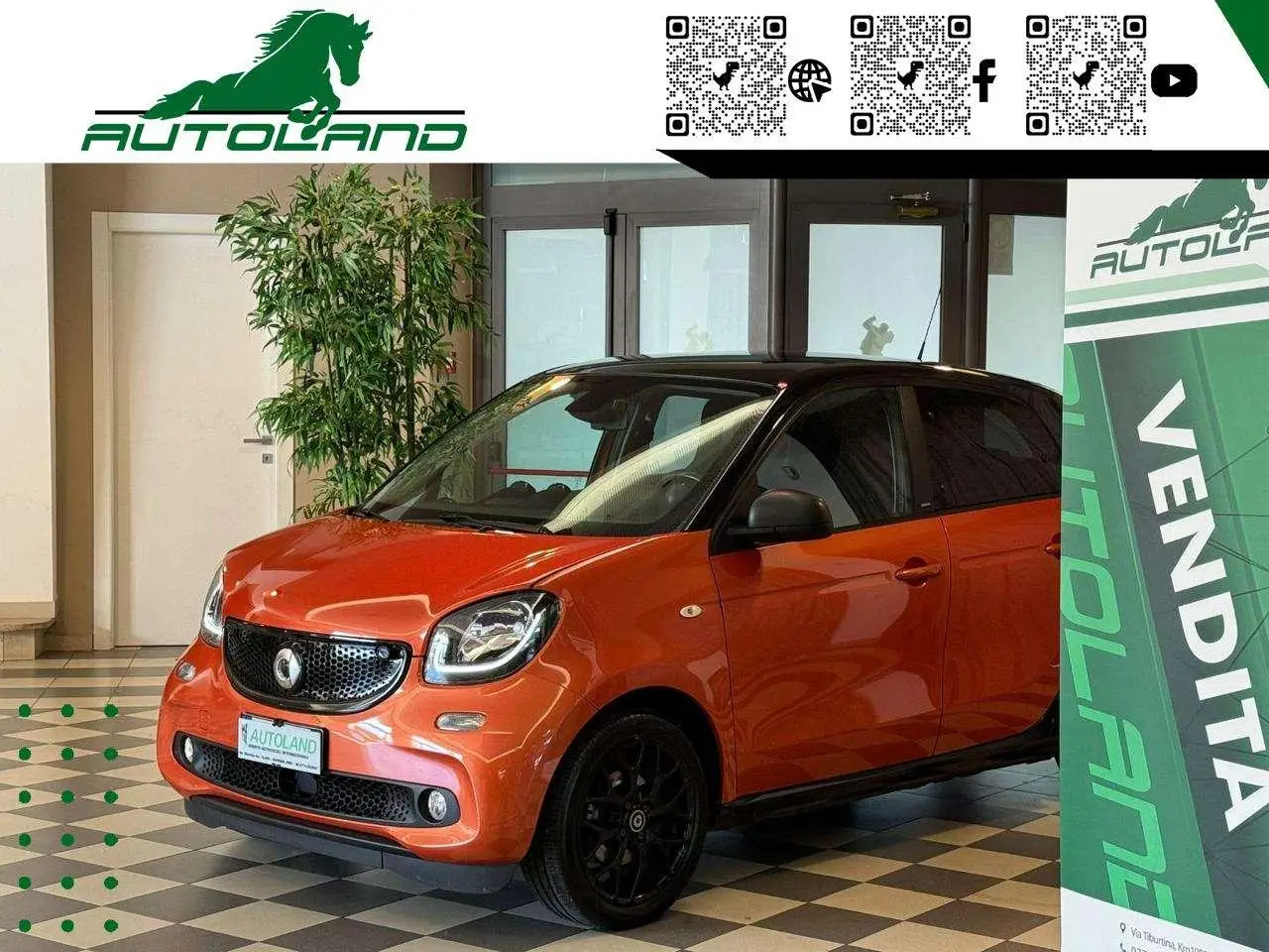 Photo 1 : Smart Forfour 2018 Essence