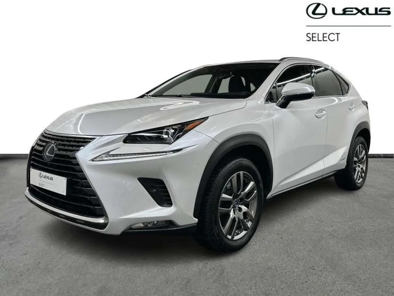 Photo 1 : Lexus Nx 2021 Hybrid