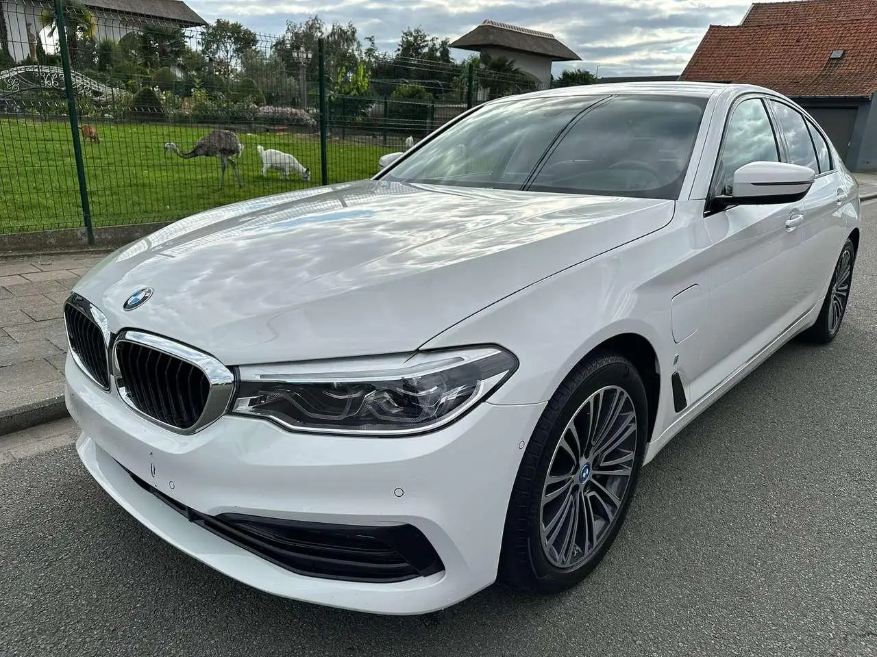 Photo 1 : Bmw Serie 5 2019 Petrol