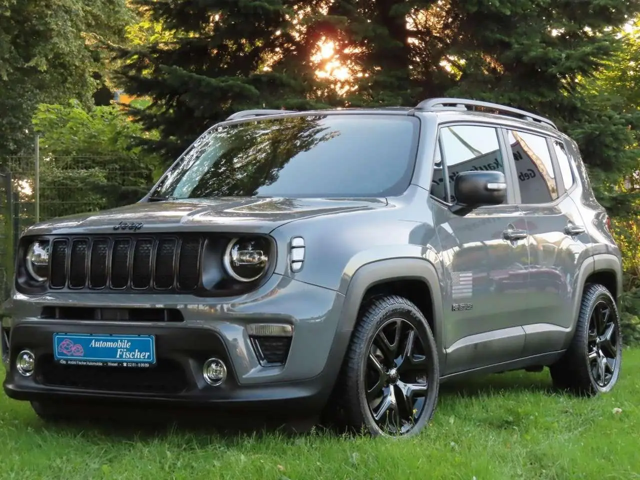 Photo 1 : Jeep Renegade 2019 Petrol