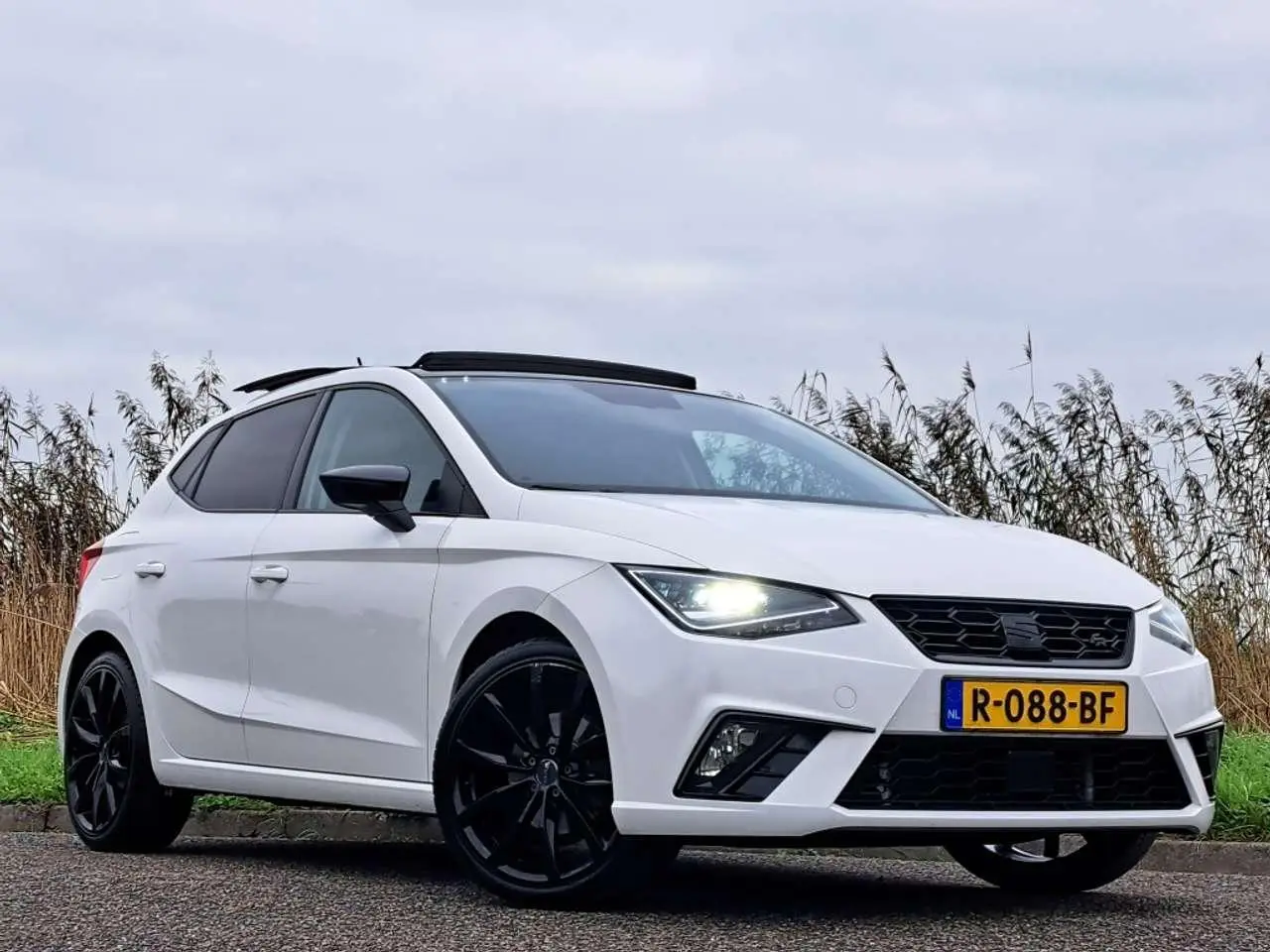 Photo 1 : Seat Ibiza 2018 Petrol