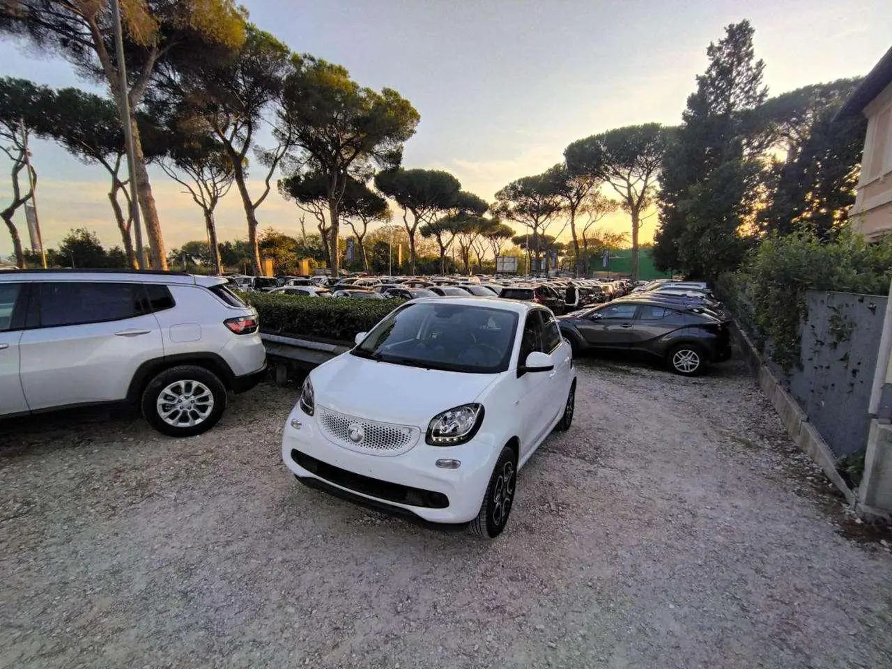 Photo 1 : Smart Forfour 2016 Essence