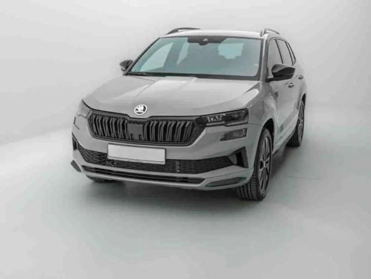 Photo 1 : Skoda Karoq 2024 Petrol