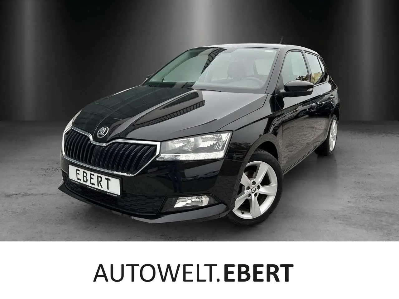 Photo 1 : Skoda Fabia 2019 Petrol