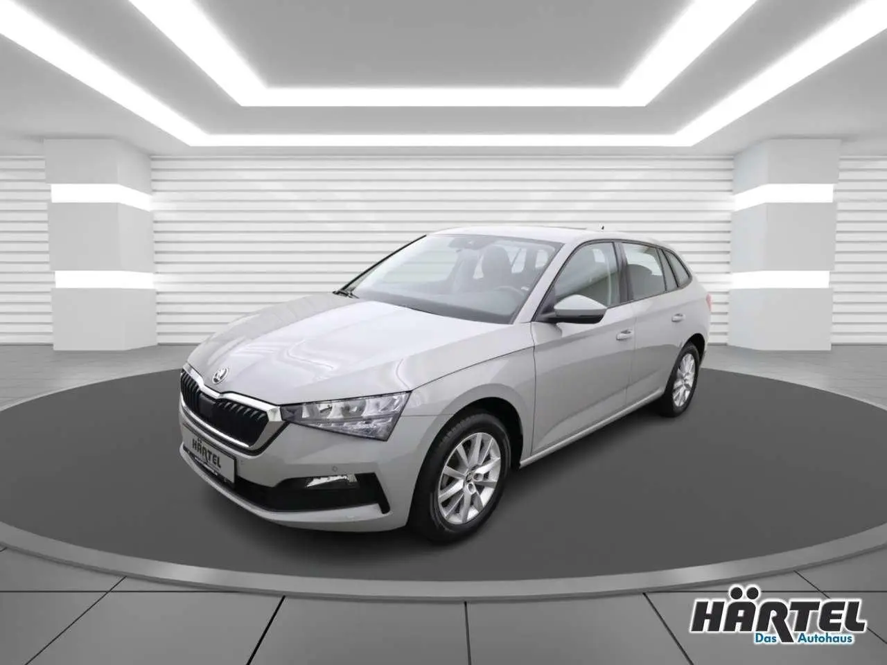 Photo 1 : Skoda Scala 2020 Others