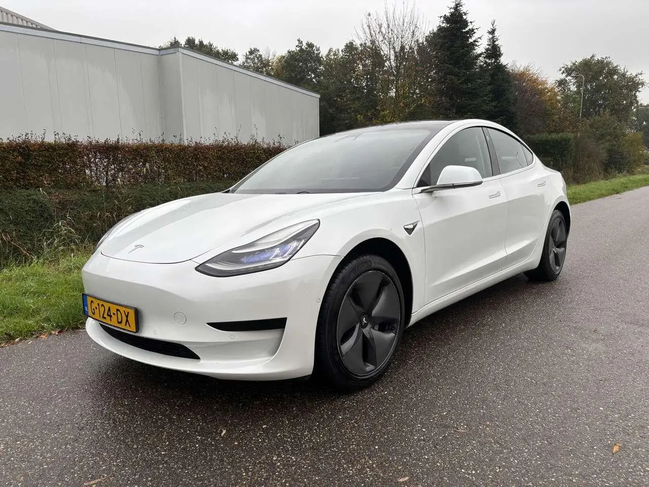 Photo 1 : Tesla Model 3 2019 Electric