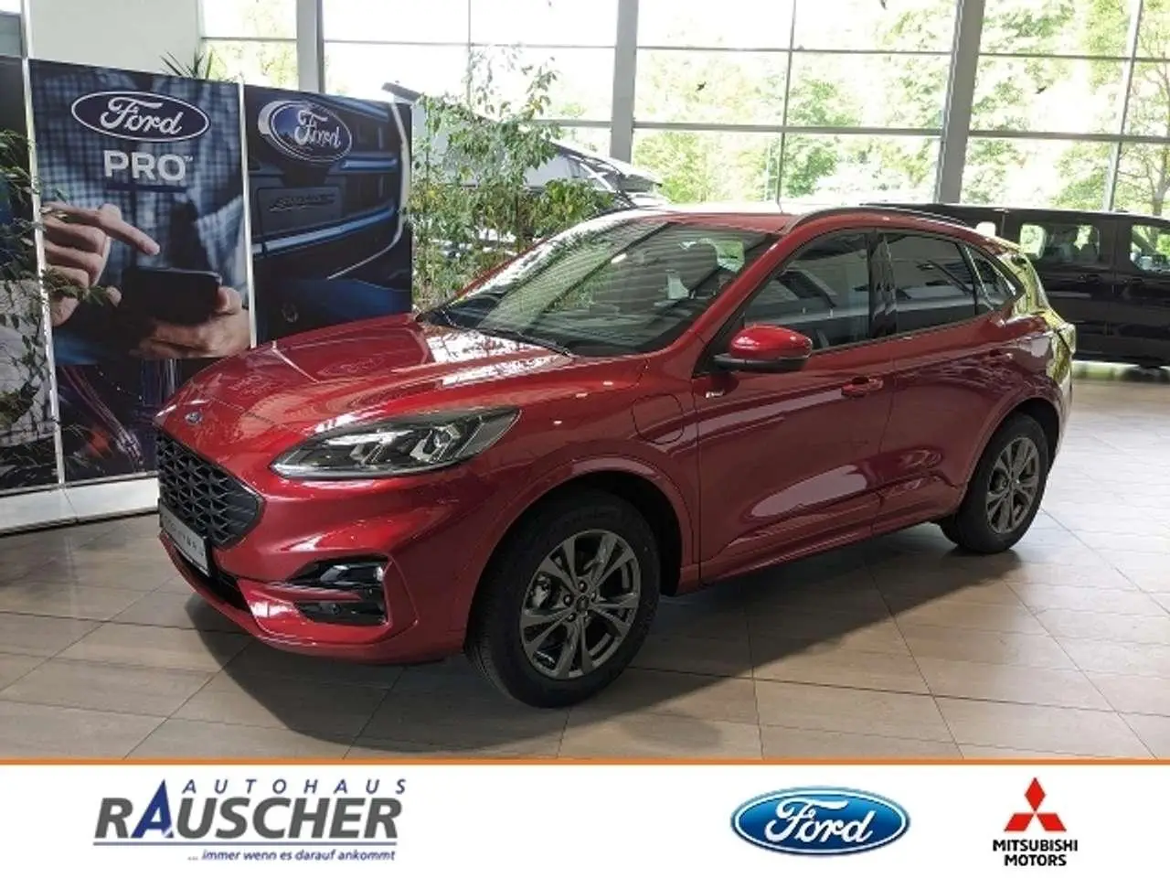 Photo 1 : Ford Kuga 2024 Hybride