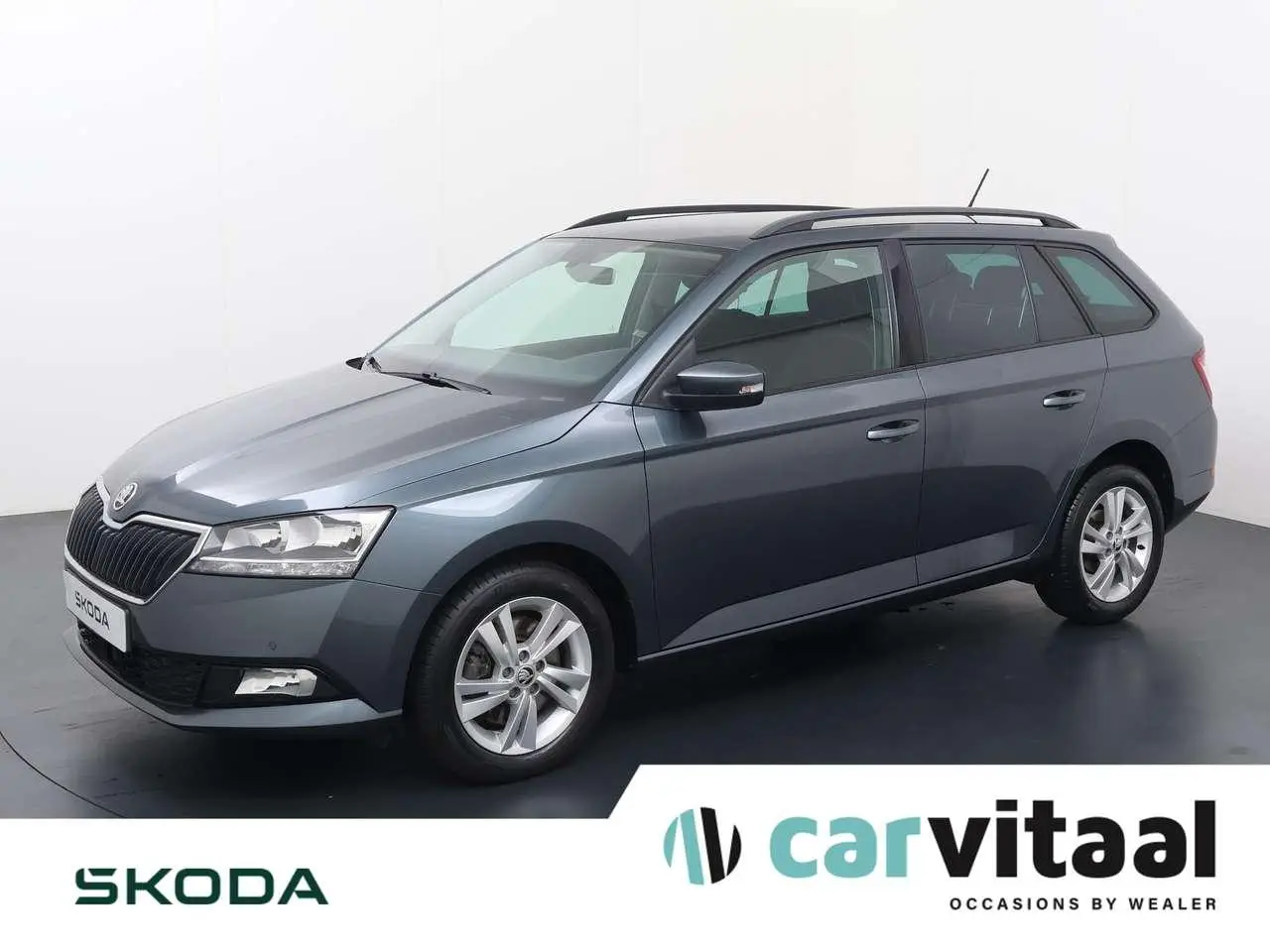 Photo 1 : Skoda Fabia 2019 Petrol