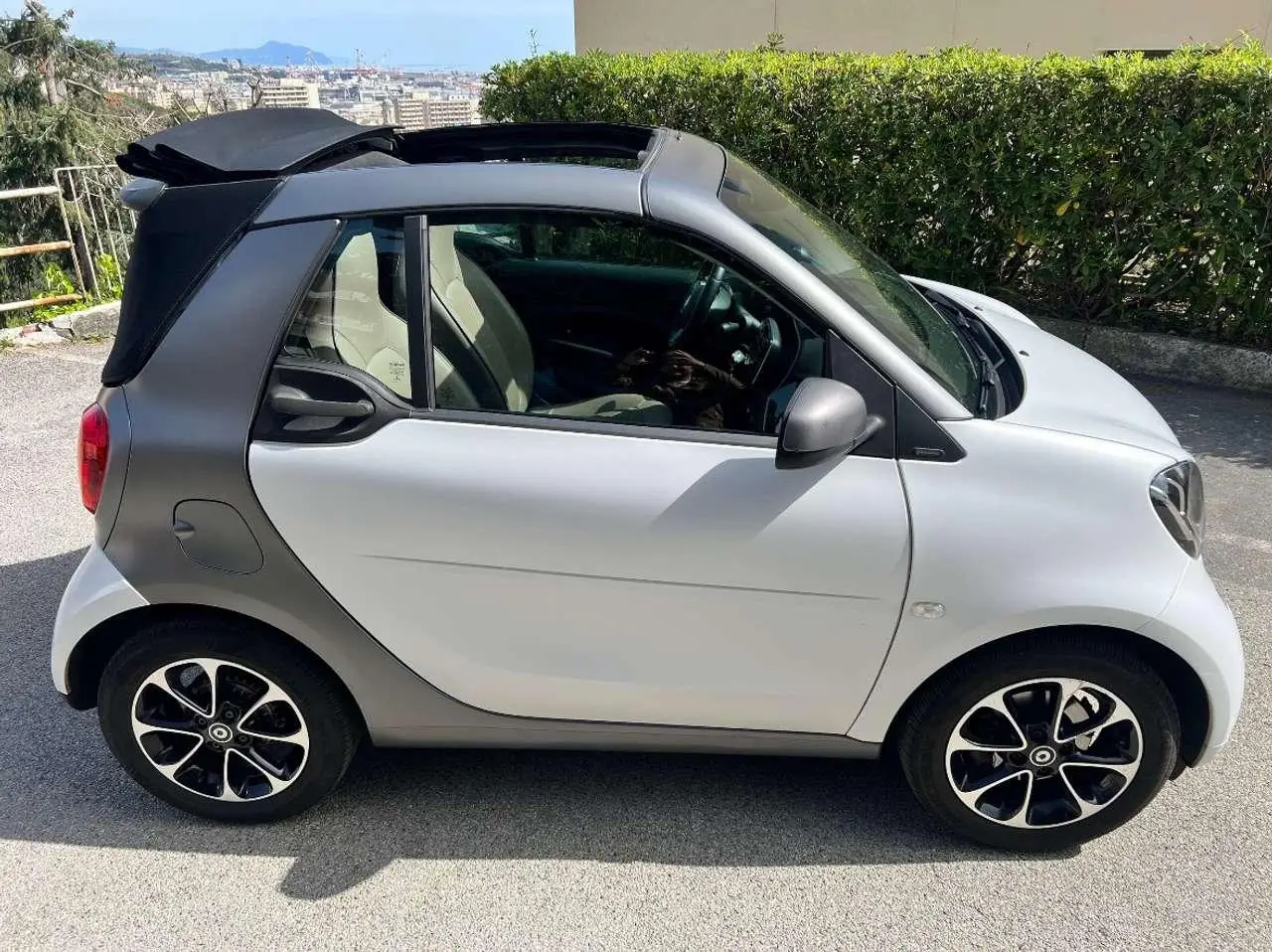 Photo 1 : Smart Fortwo 2017 Petrol