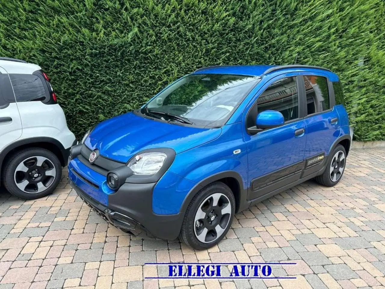 Photo 1 : Fiat Panda 2024 Hybride