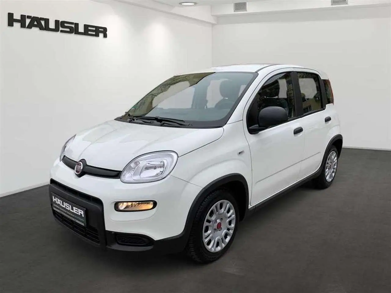 Photo 1 : Fiat Panda 2023 Petrol