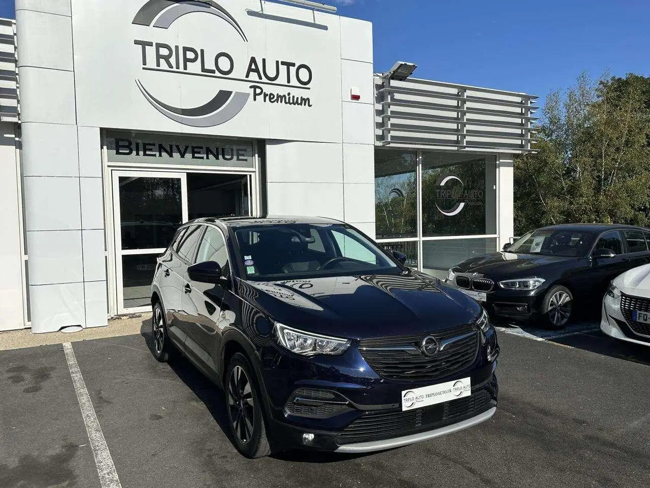 Photo 1 : Opel Grandland 2019 Petrol