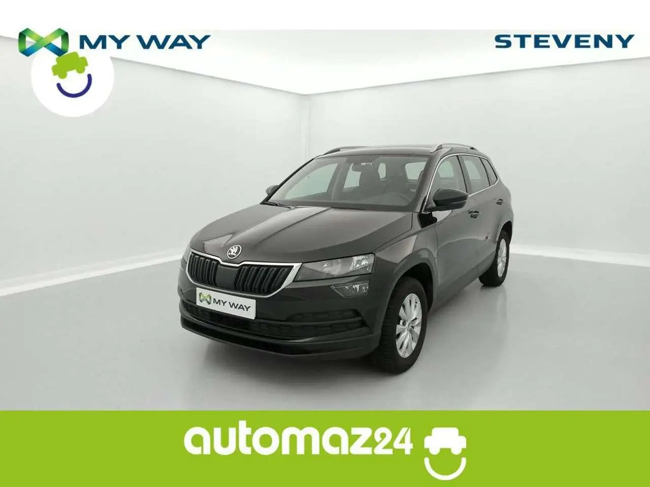 Photo 1 : Skoda Karoq 2019 Diesel