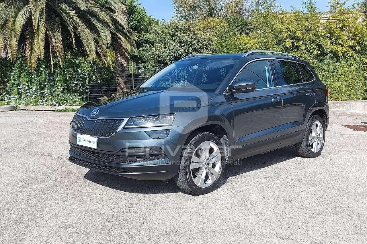 Photo 1 : Skoda Karoq 2019 Diesel