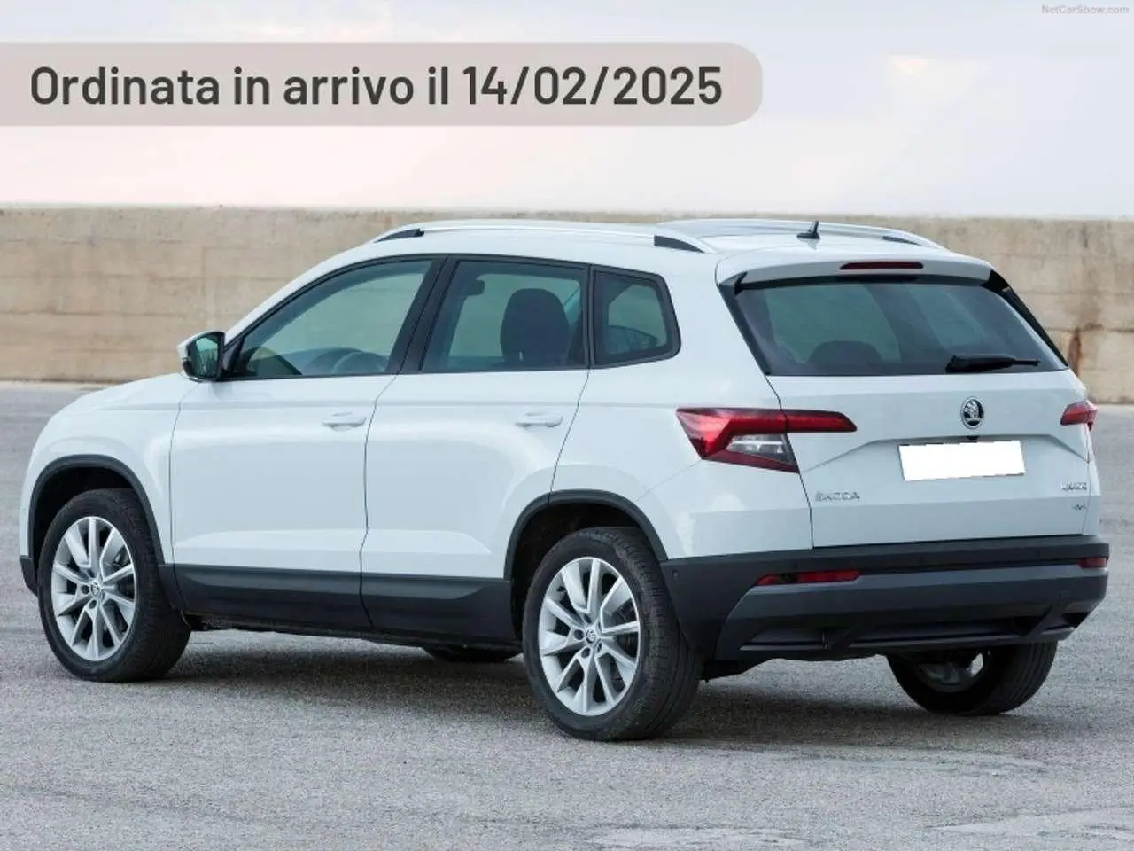 Photo 1 : Skoda Karoq 2024 Diesel