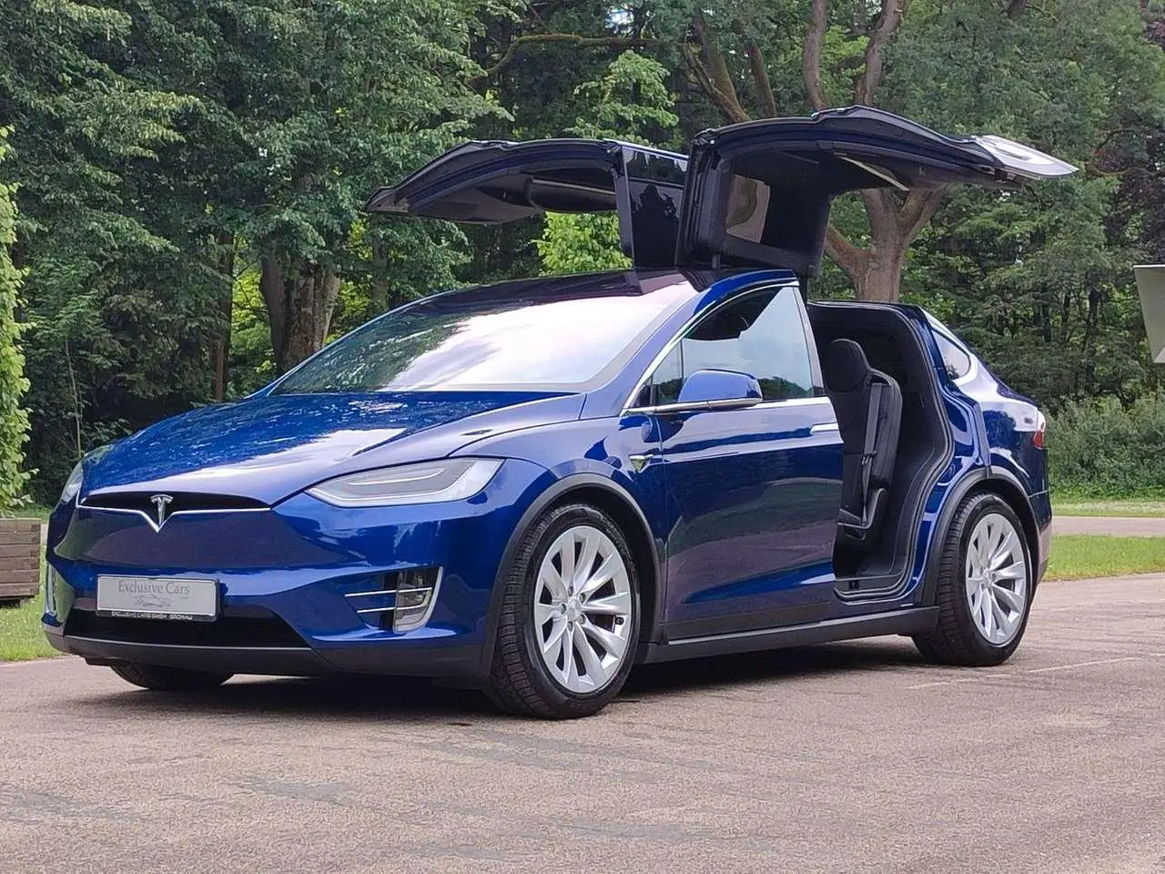 Photo 1 : Tesla Model X 2020 Electric