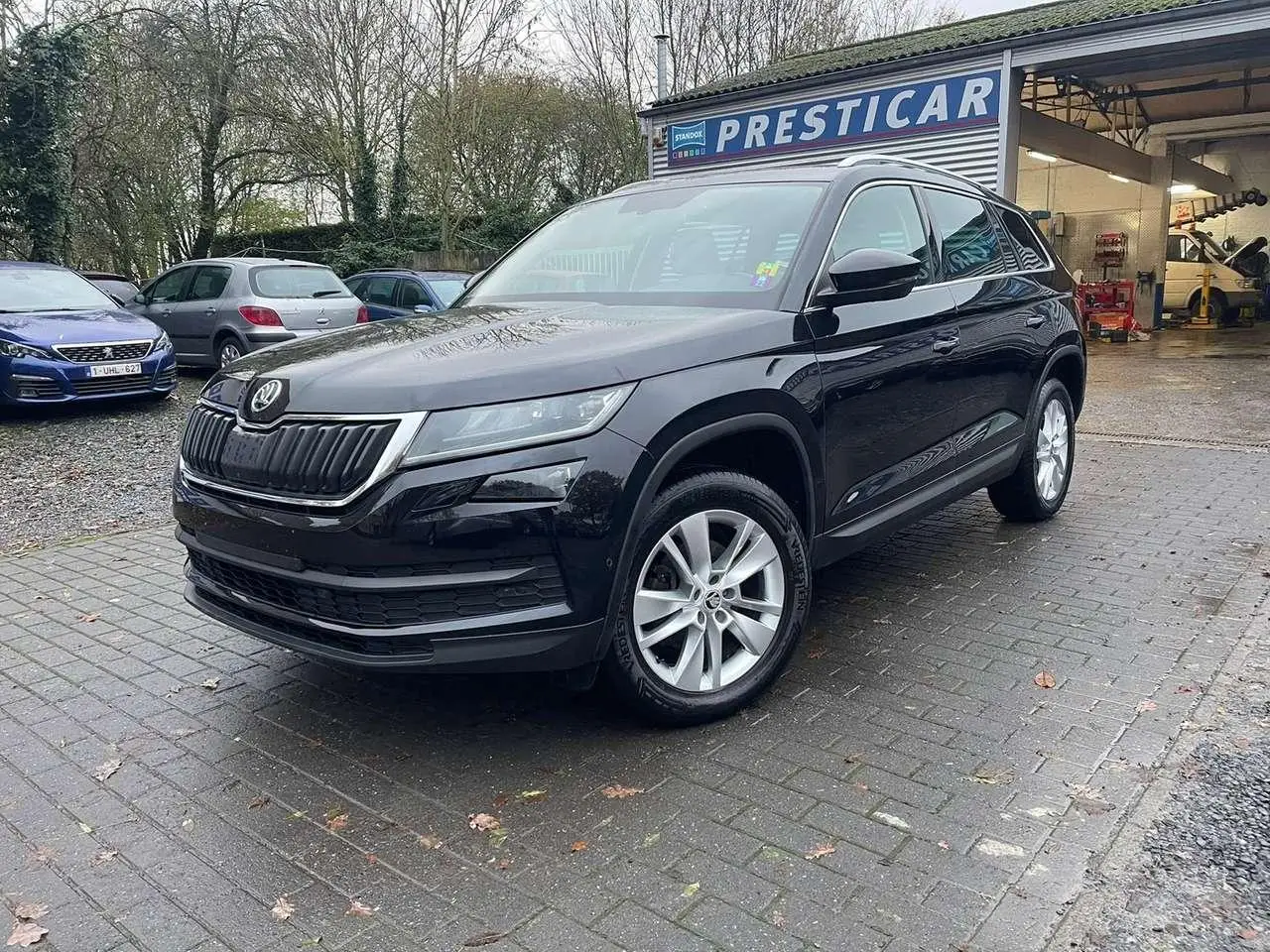 Photo 1 : Skoda Kodiaq 2017 Diesel