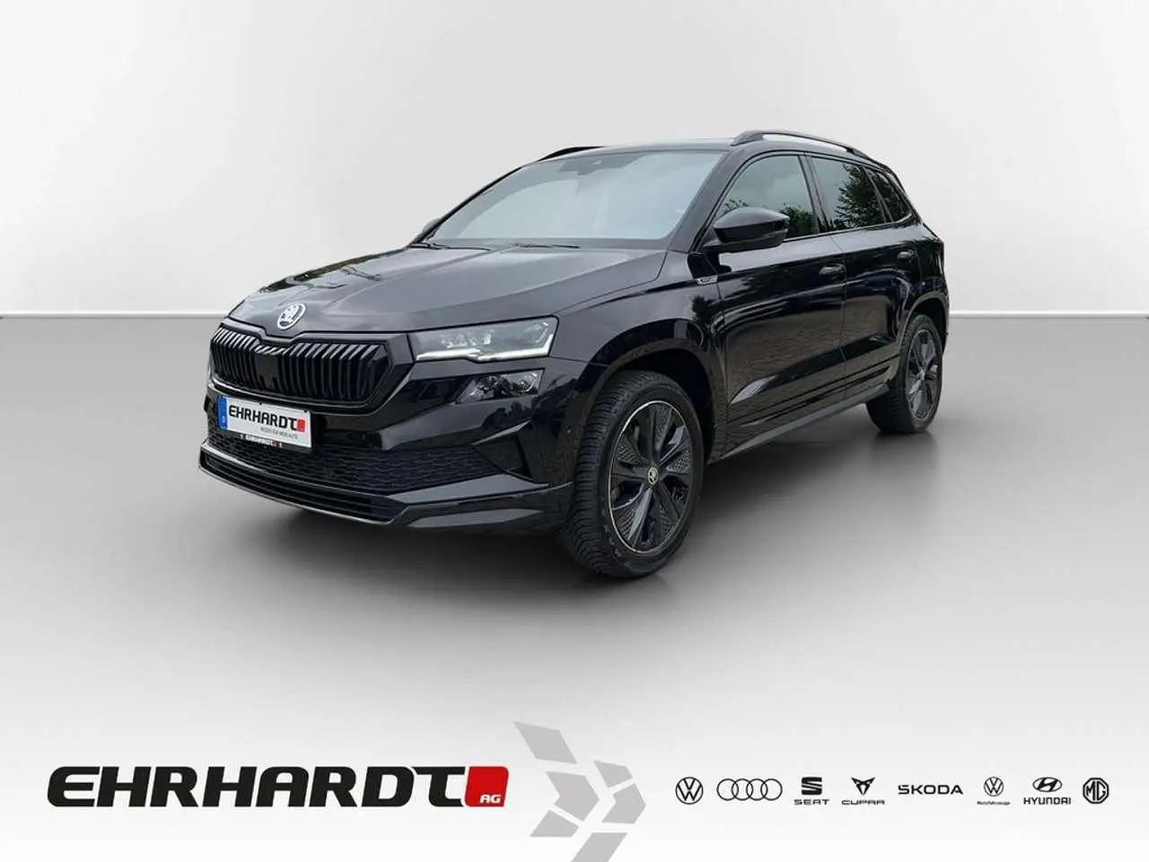 Photo 1 : Skoda Karoq 2023 Diesel