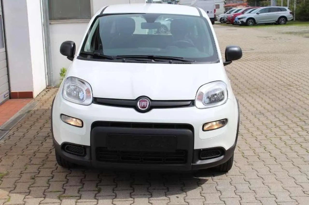 Photo 1 : Fiat Panda 2024 Petrol