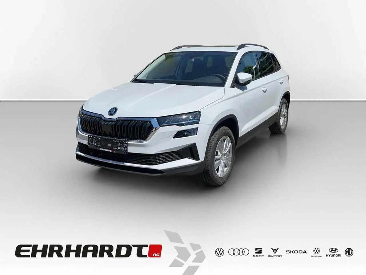 Photo 1 : Skoda Karoq 2024 Diesel