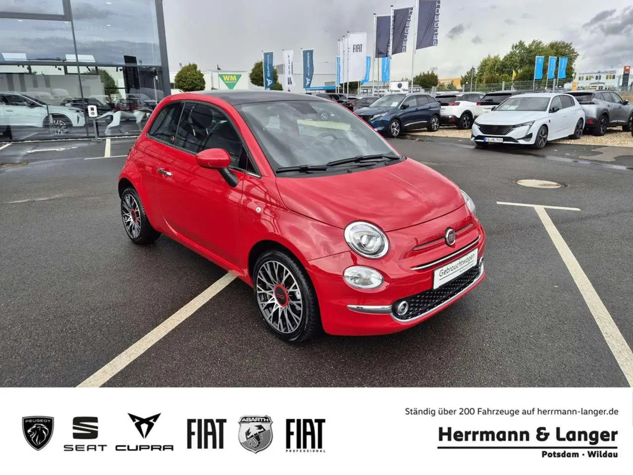 Photo 1 : Fiat 500 2023 Essence