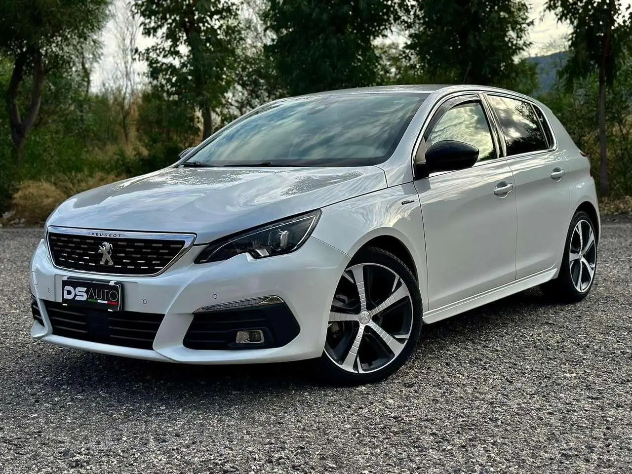 Photo 1 : Peugeot 308 2019 Diesel