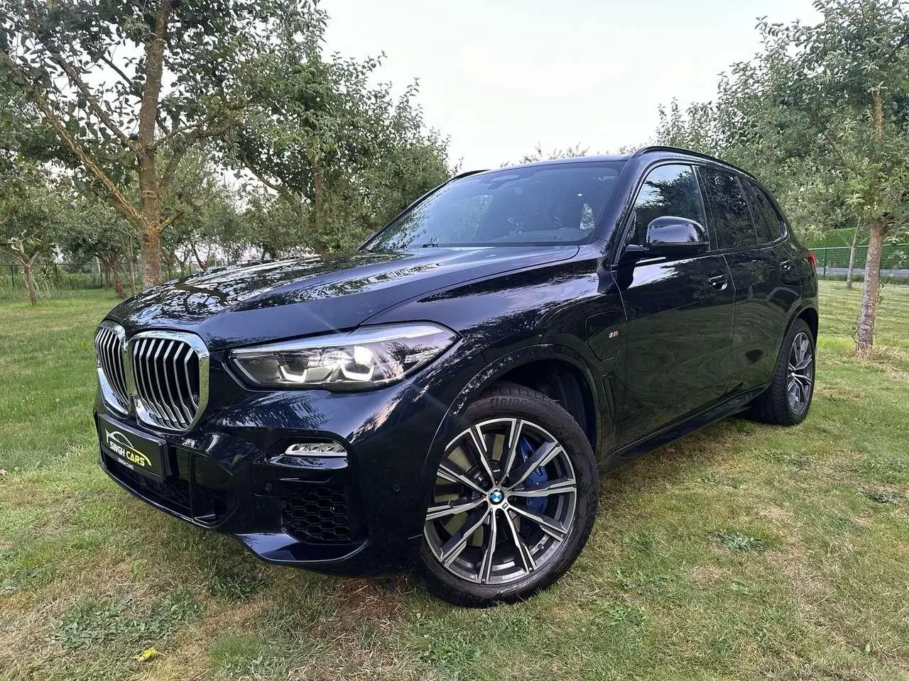 Photo 1 : Bmw X5 2019 Hybrid