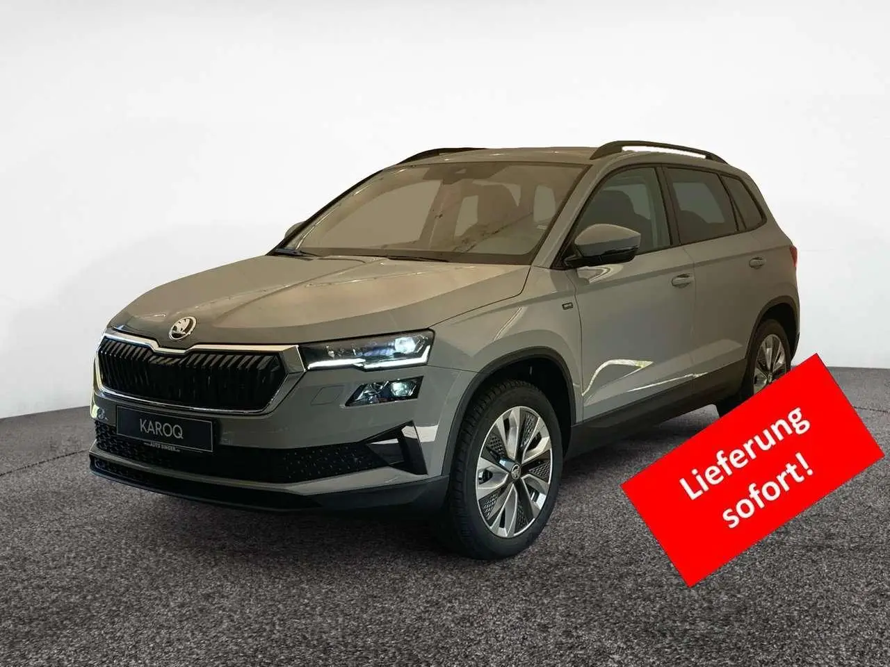 Photo 1 : Skoda Karoq 2024 Diesel