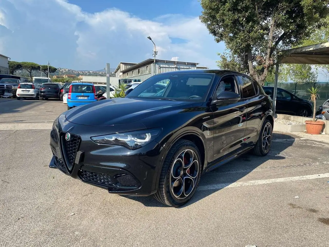 Photo 1 : Alfa Romeo Stelvio 2024 Diesel