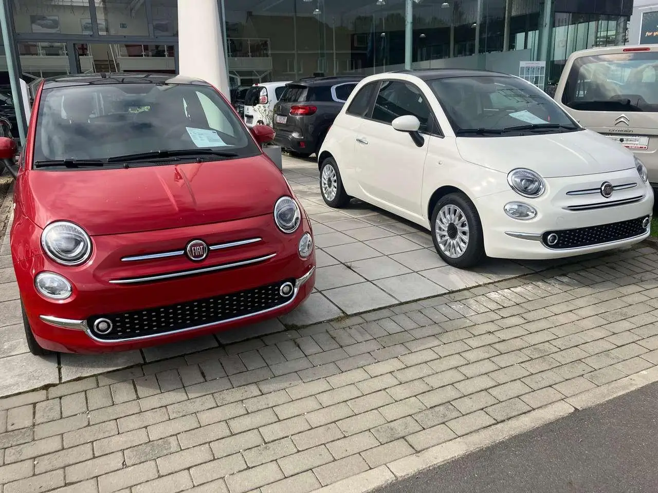 Photo 1 : Fiat 500 2024 Petrol