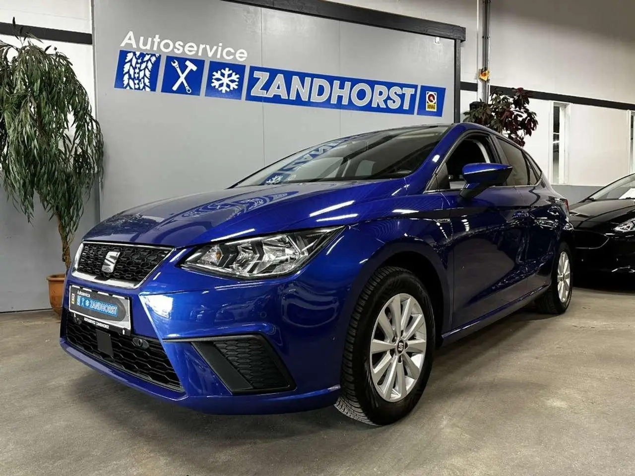 Photo 1 : Seat Ibiza 2019 Petrol