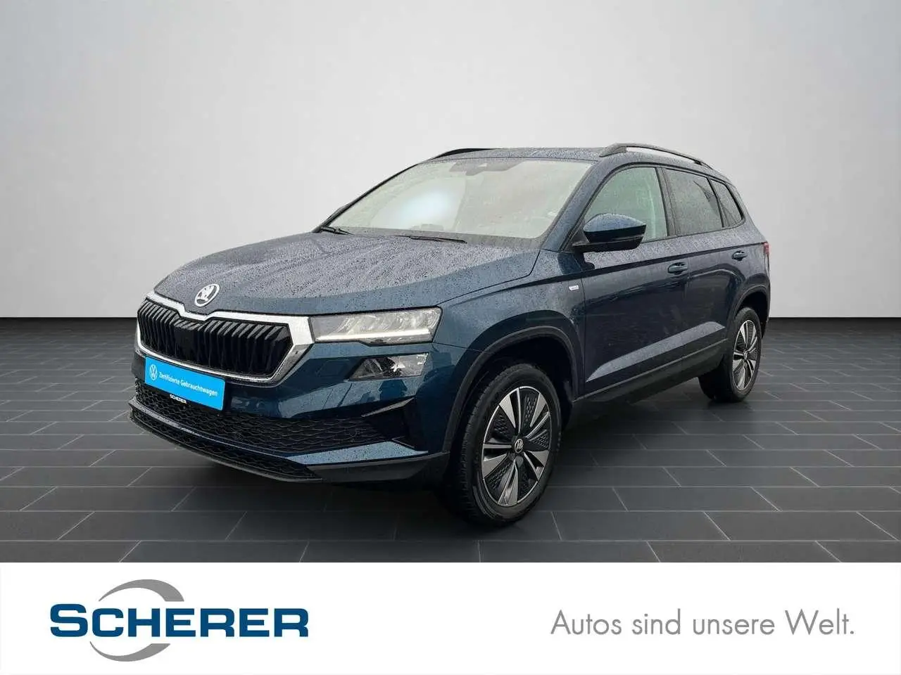 Photo 1 : Skoda Karoq 2024 Petrol