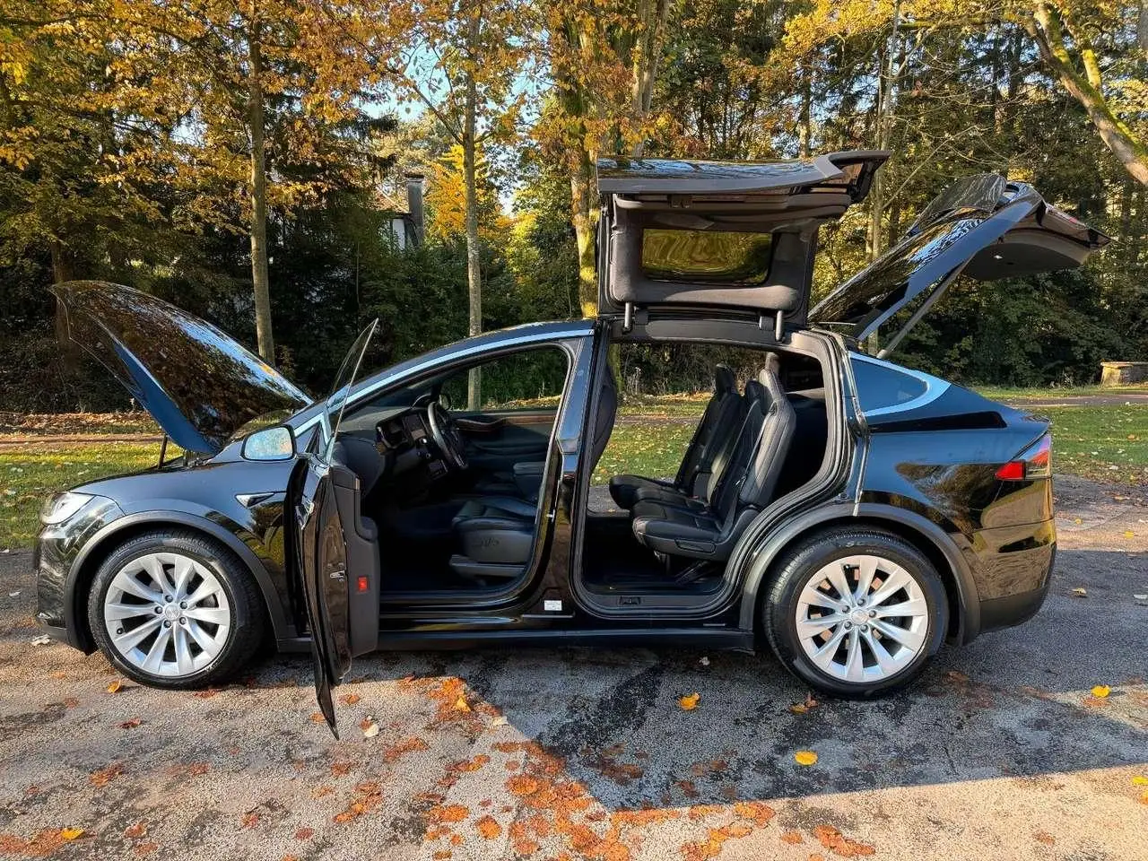 Photo 1 : Tesla Model X 2020 Électrique