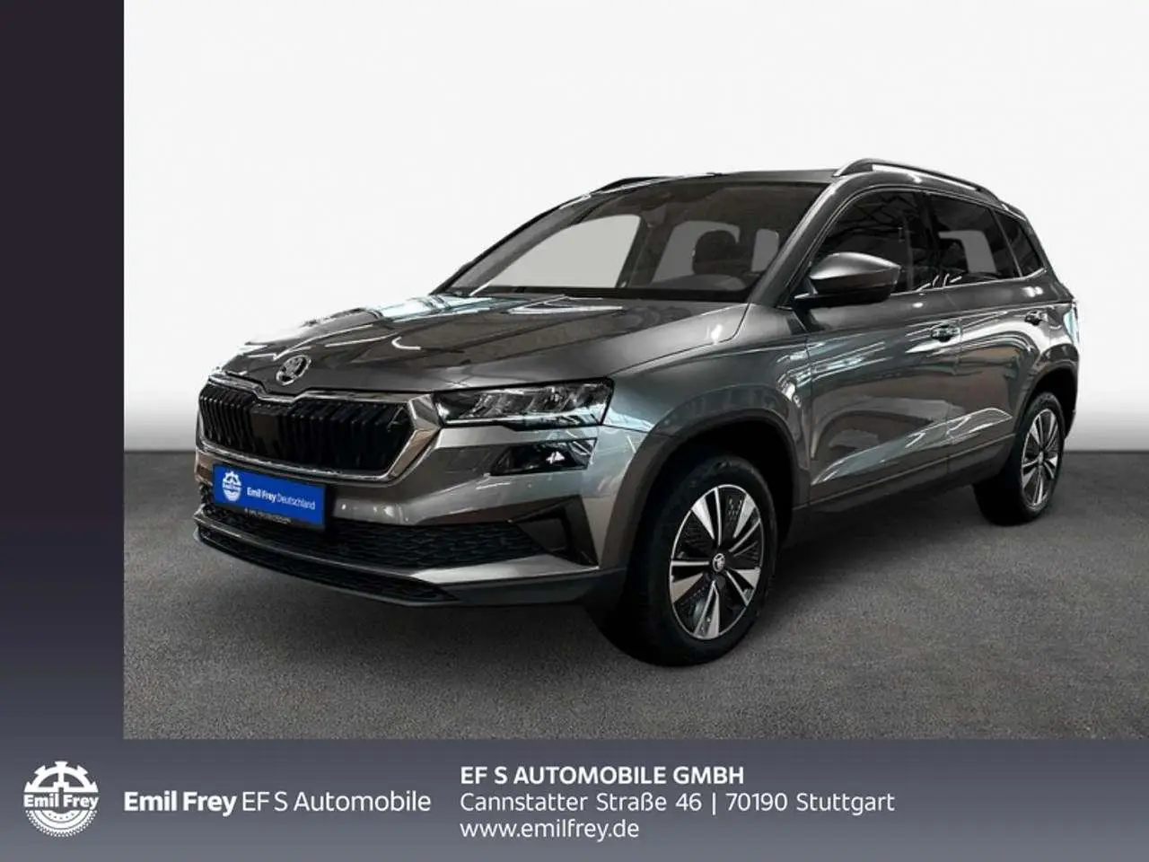 Photo 1 : Skoda Karoq 2022 Petrol