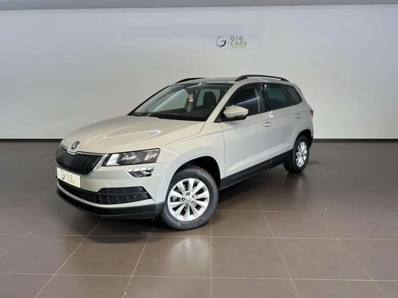 Photo 1 : Skoda Karoq 2019 Diesel