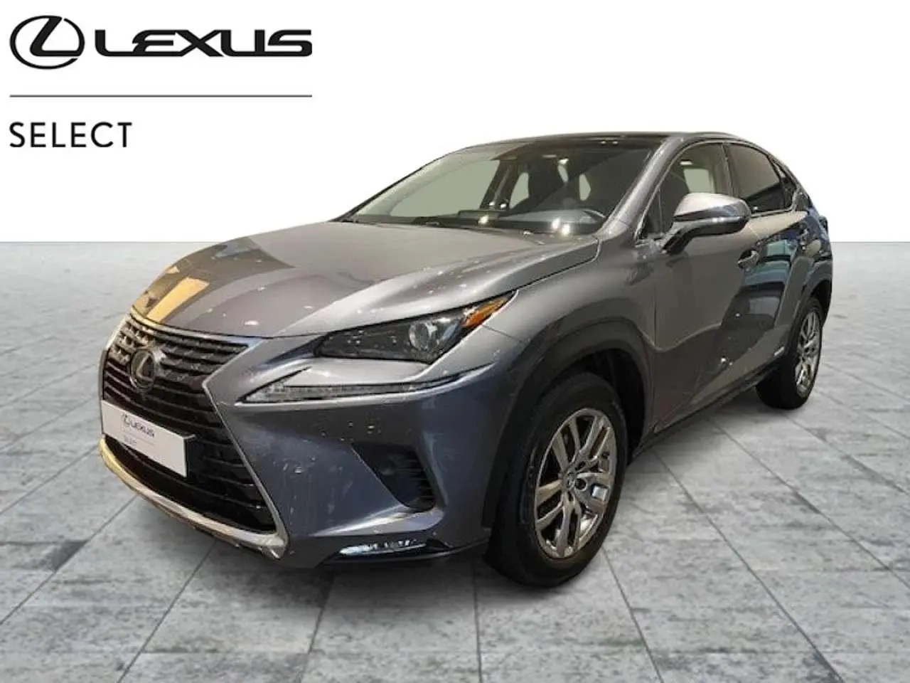 Photo 1 : Lexus Nx 2019 Hybrid