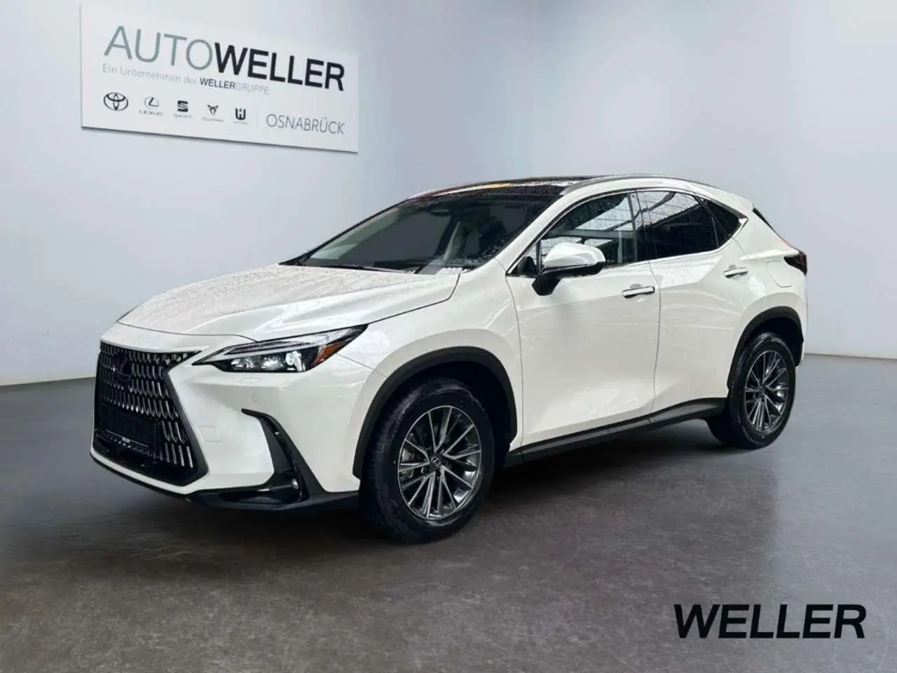 Photo 1 : Lexus Nx 2024 Hybrid