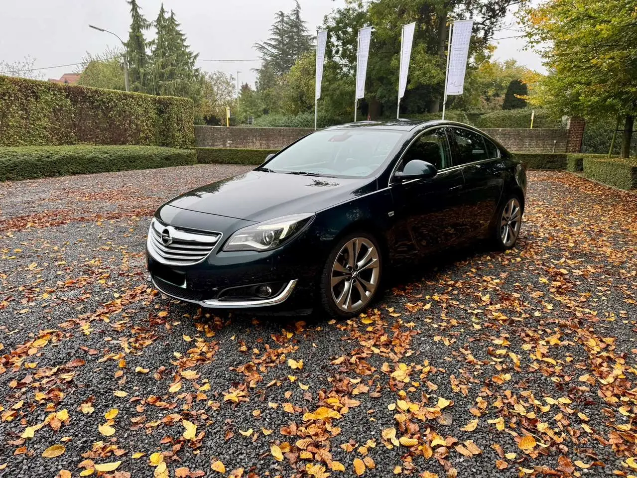 Photo 1 : Opel Insignia 2015 Diesel