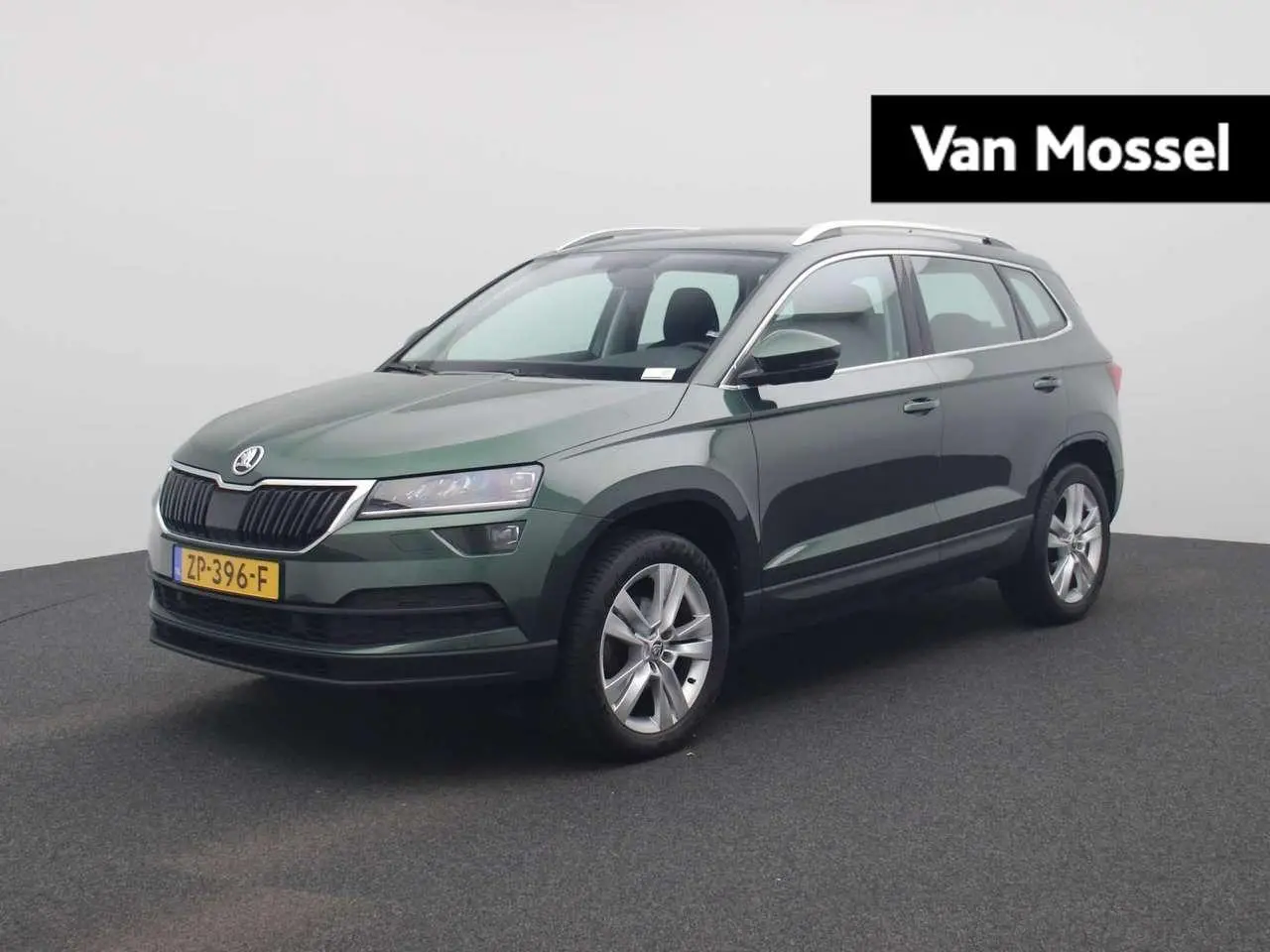 Photo 1 : Skoda Karoq 2019 Petrol