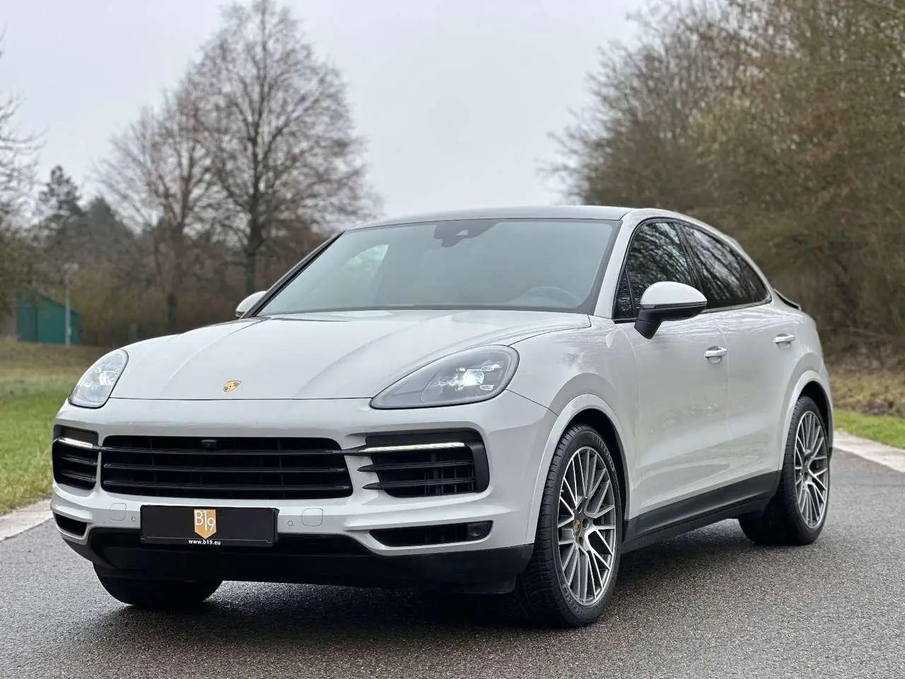 Photo 1 : Porsche Cayenne 2019 Petrol