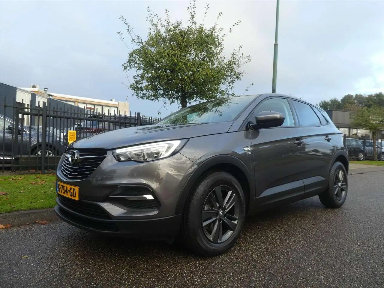 Photo 1 : Opel Grandland 2019 Petrol