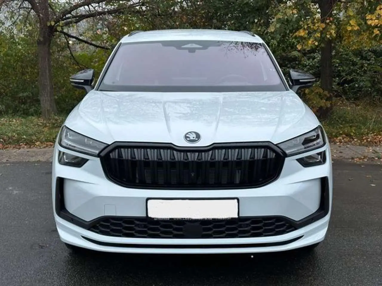 Photo 1 : Skoda Kodiaq 2024 Diesel