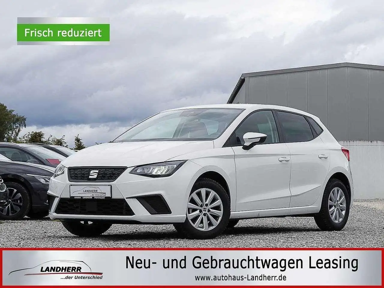 Photo 1 : Seat Ibiza 2024 Petrol