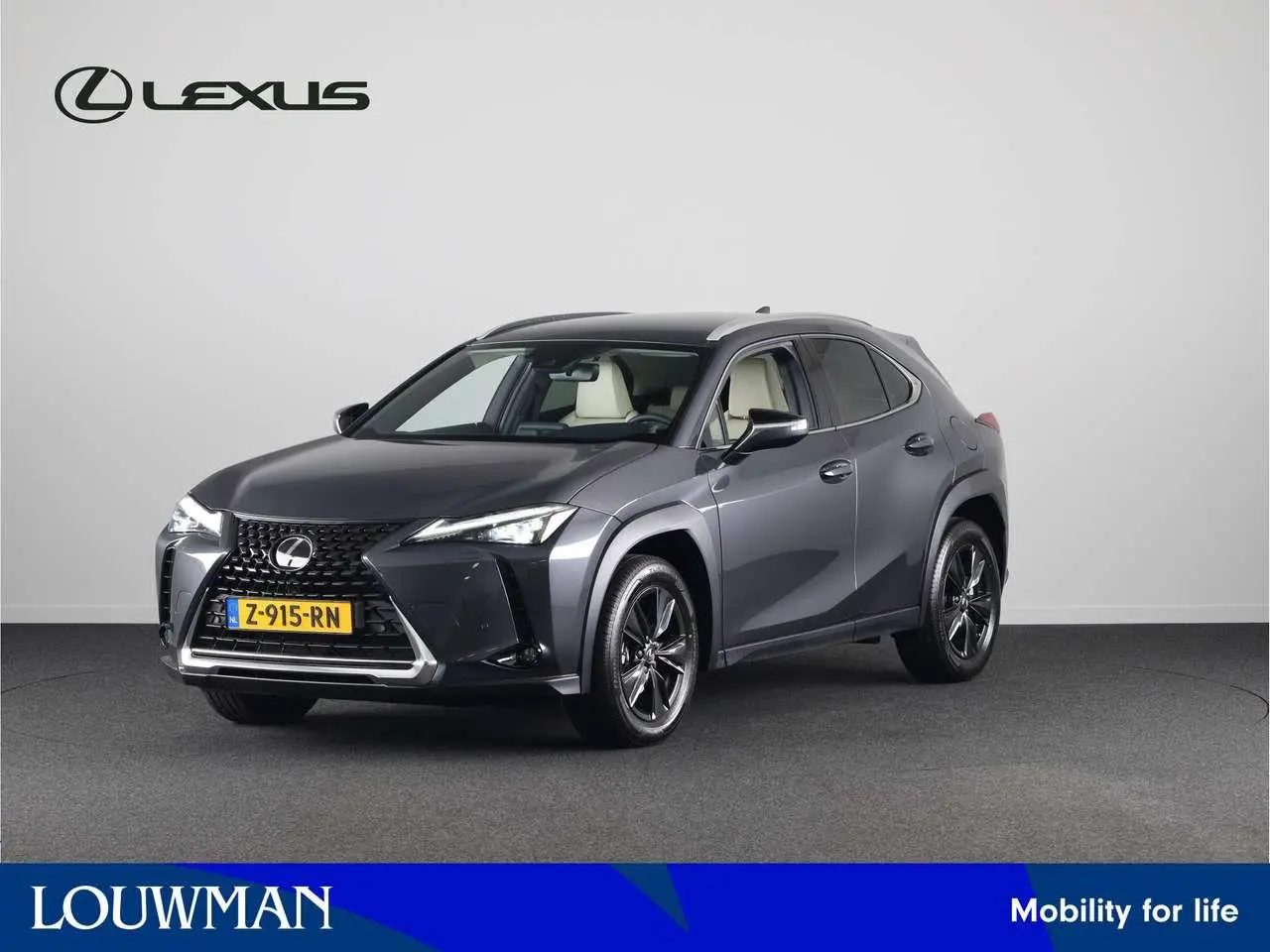 Photo 1 : Lexus Ux 2024 Hybrid