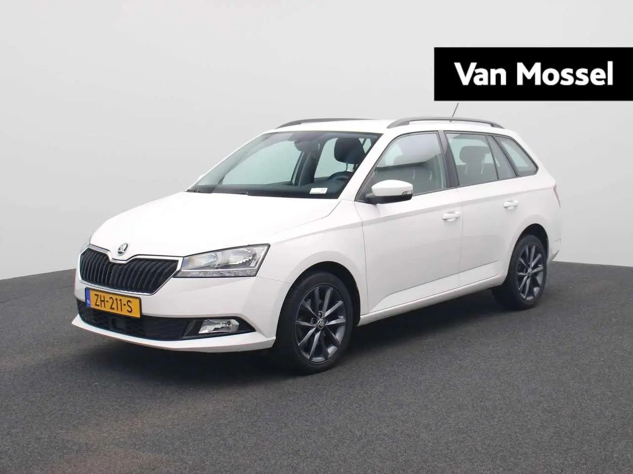 Photo 1 : Skoda Fabia 2019 Petrol